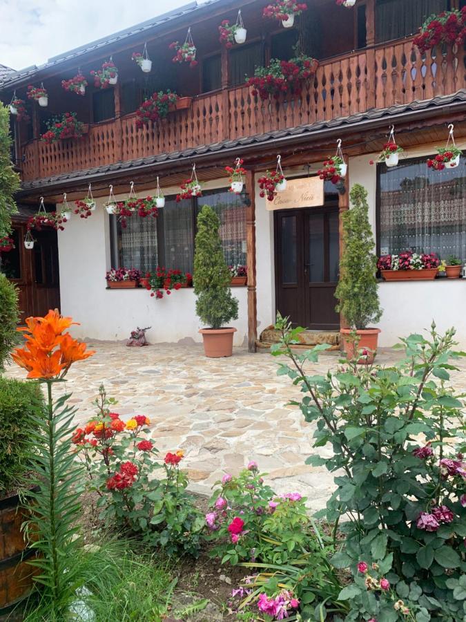 agropensiunea CASA NICA Margineni  Esterno foto