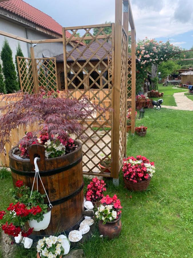 agropensiunea CASA NICA Margineni  Esterno foto