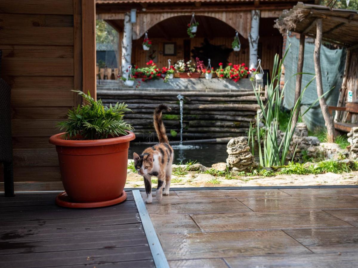 agropensiunea CASA NICA Margineni  Esterno foto
