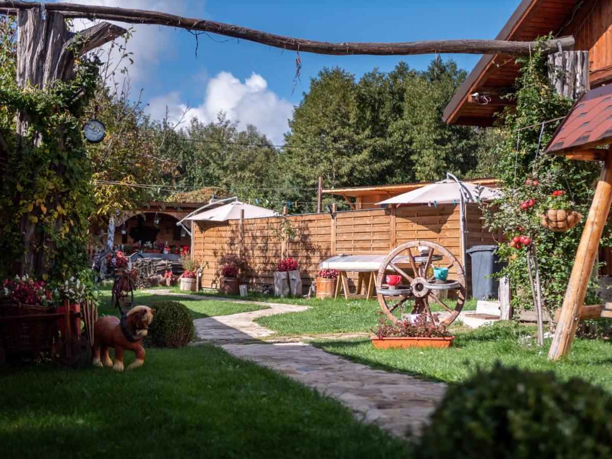agropensiunea CASA NICA Margineni  Esterno foto