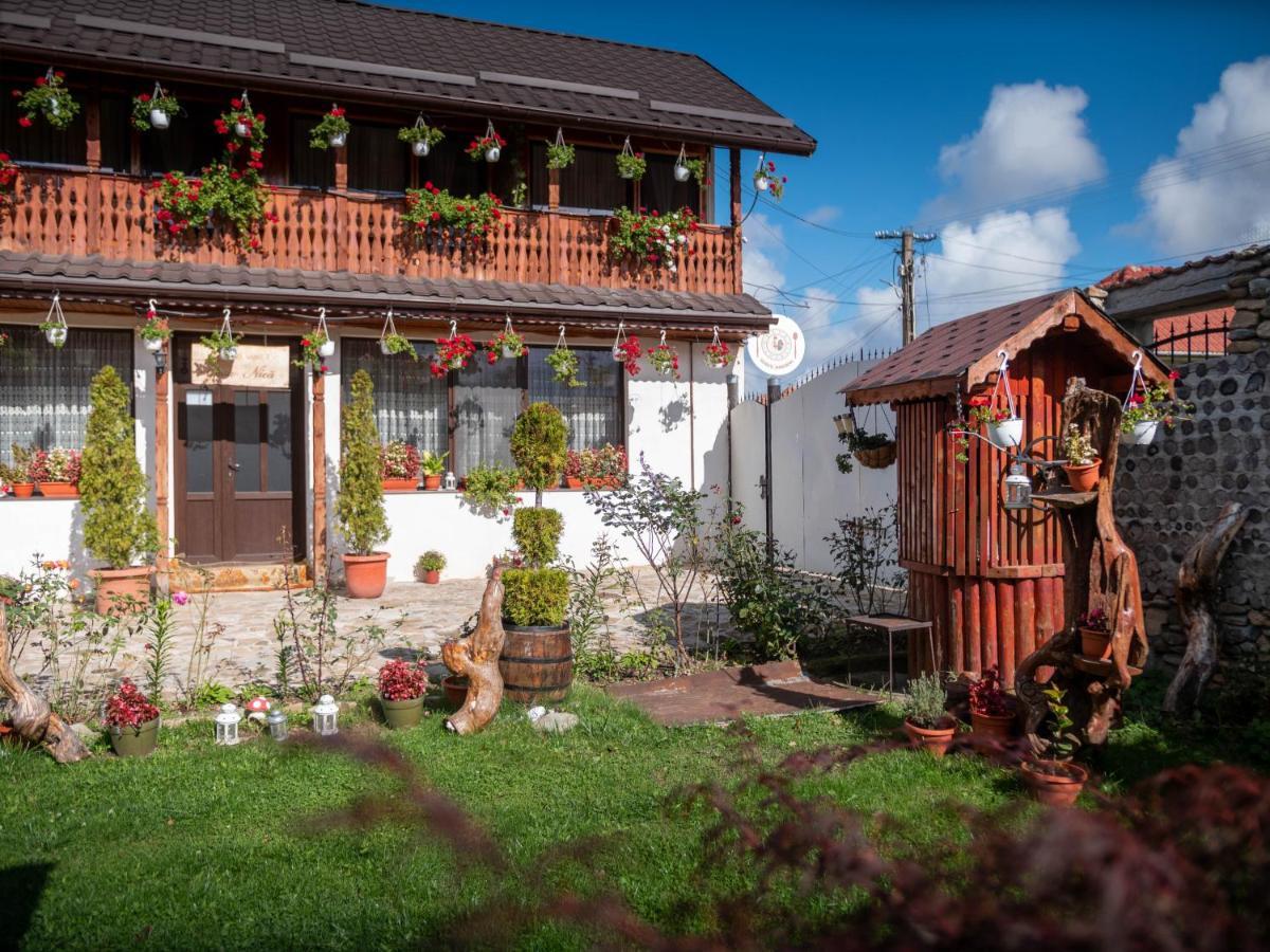 agropensiunea CASA NICA Margineni  Esterno foto