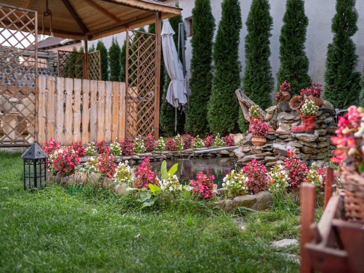 agropensiunea CASA NICA Margineni  Esterno foto