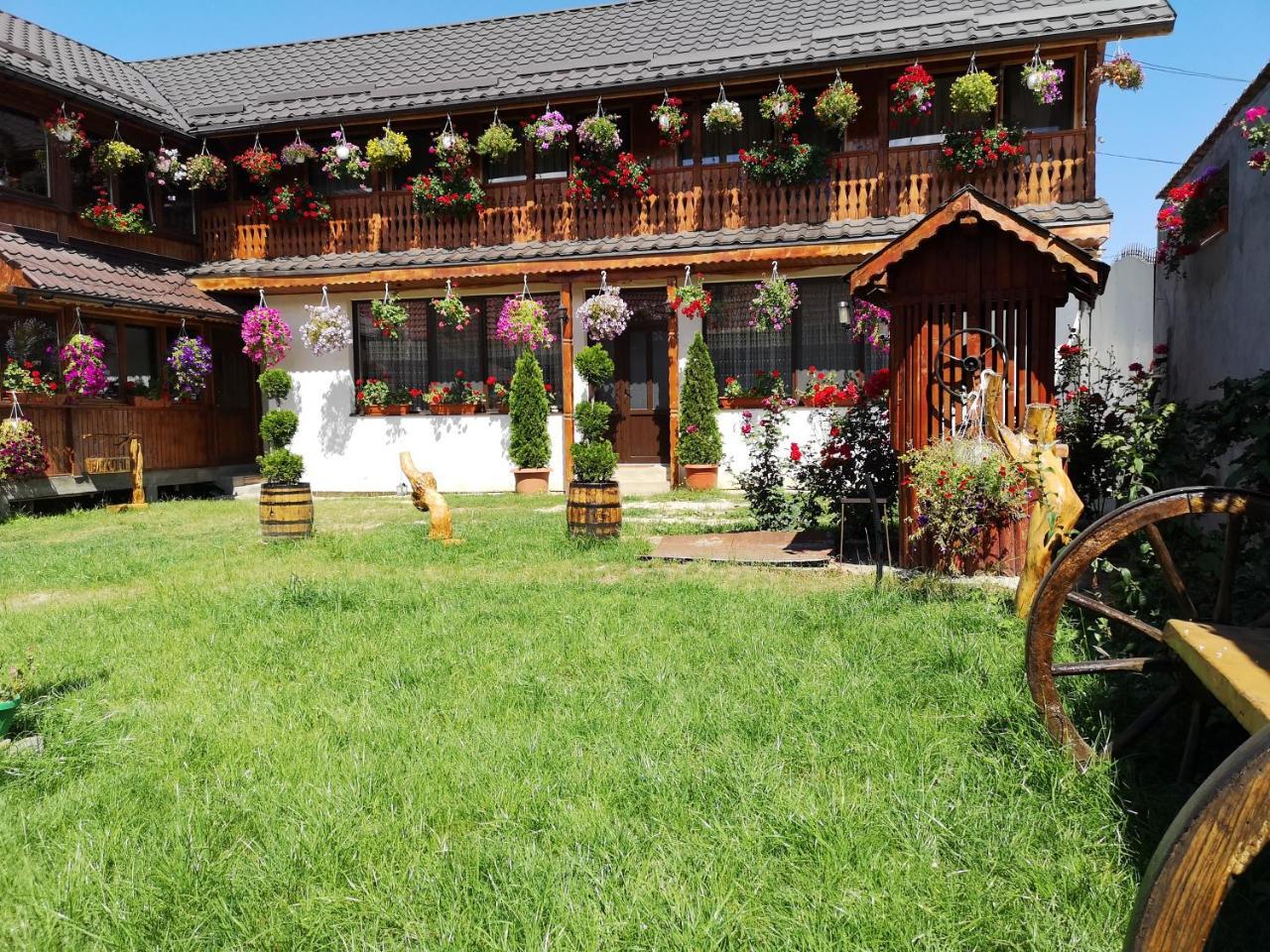 agropensiunea CASA NICA Margineni  Esterno foto