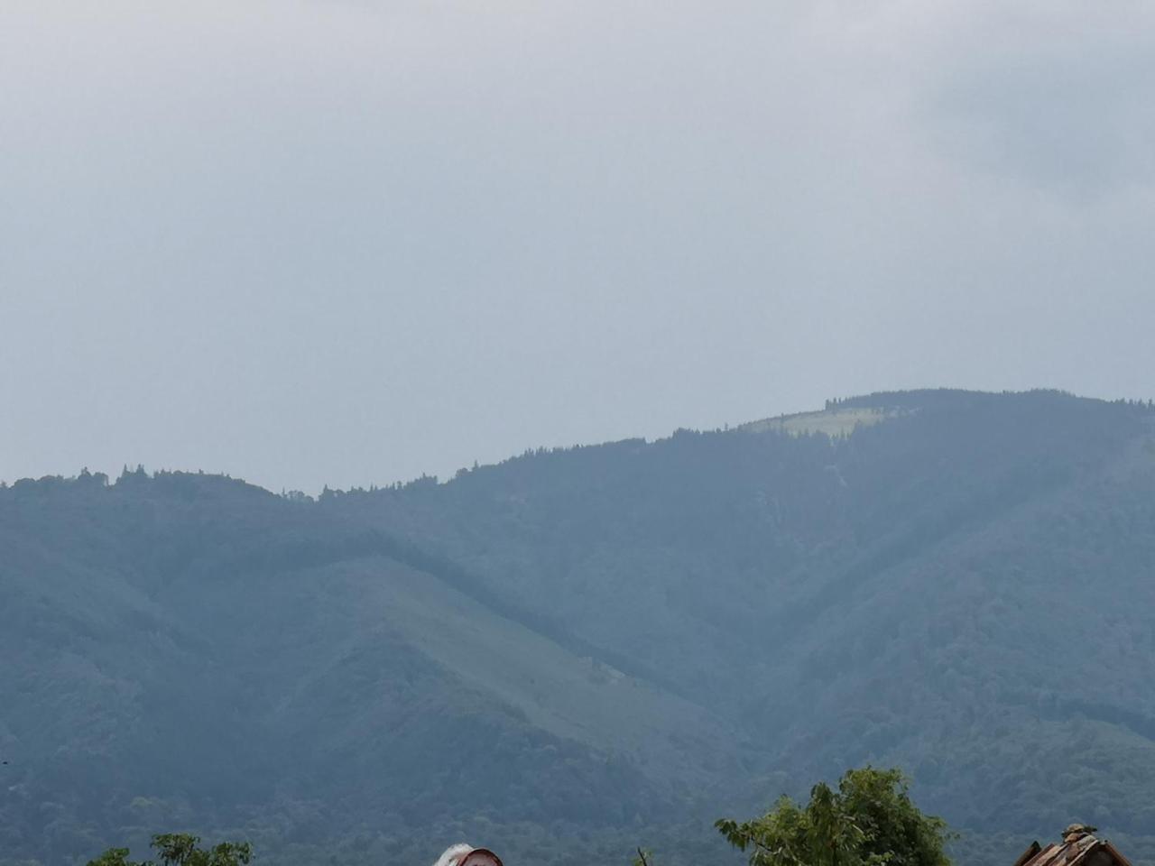 agropensiunea CASA NICA Margineni  Esterno foto